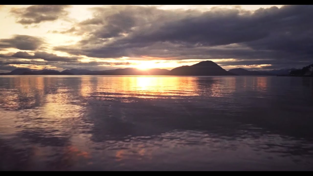 10 amazing things I’ve learned about parrots so far